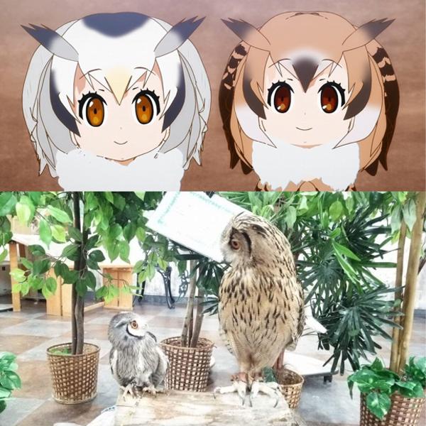 実際の大きさの比較をおわかりいただけたのなら 早くおかわりをよこすのです 17年05月14日の人物のボケ ボケて Bokete