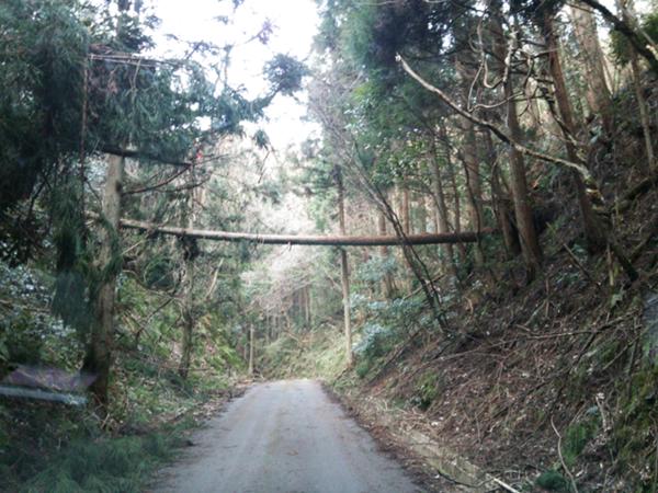 群馬一番の繁華街 荒れた峠へのボケ ボケて Bokete
