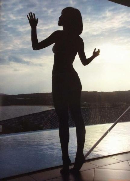 エンダーーーー シルエットへのボケ ボケて Bokete