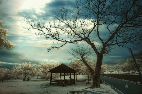 第五人格するにはいい具合 自然の風景へのボケ ボケて Bokete