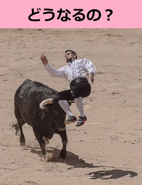 す て み タックル