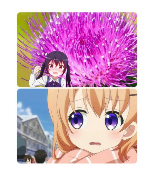 かい だい てん ら はなび