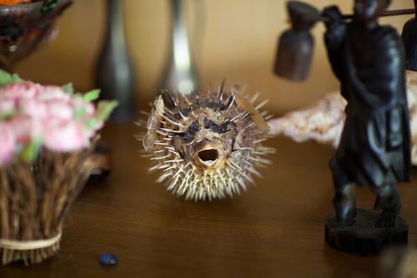 いやいや ハリセンボン飲ますって簡単に言うけどさぁ 2015年10月26日のその他のボケ 36725167 ボケて Bokete