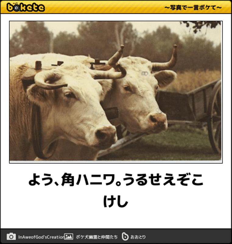 image_088c249860cee15d45e35de3  