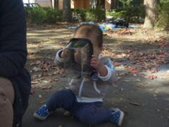 トンボ美味え シーチキンの味する 写真１へのボケ ボケて Bokete