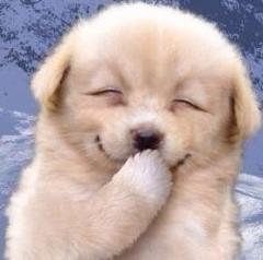 ヘームヘムヘムヘムwww 笑う犬へのボケ ボケて Bokete