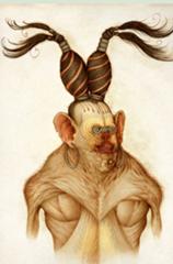 野性爆弾クッキーの新作モノマネ 柴田理恵 耳へのボケ ボケて Bokete