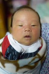 ガッツ石松 赤ちゃんへのボケ ボケて Bokete