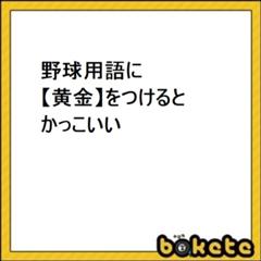 野球用語黄金 18年01月28日のその他のボケ ボケて Bokete