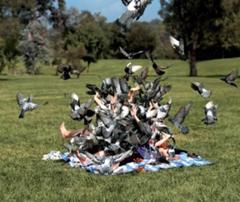 弐号機を補食するエヴァ量産型 鳥へのボケ ボケて Bokete