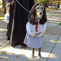 ハーマイオニー どうしてもポリジュース薬がうまくいかない 15年10月28日の動物のボケ ボケて Bokete ハーマイオニー どうしてもポリジュース薬がうまくいかない 15年10月28日の動物のボケ ボケて Bokete