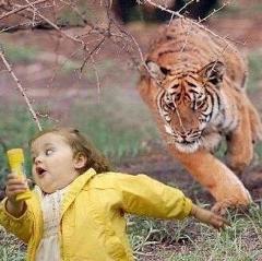 袁傪 李徴ちゃうんかーい ベンガルトラへのボケ ボケて Bokete