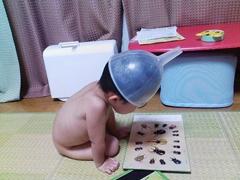 小田和正の たしかなこと が流れるcmで どうしてもこのスライドショーで笑ってしまう 靴へのボケ ボケて Bokete