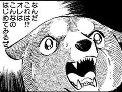 ソフトバンクのお父さん犬が喋るのを見て 14年03月10日のイラストのボケ ボケて Bokete