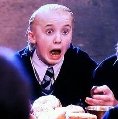 ハリー スリザリンがいい スリザリンがいい 組み分け帽子 グリフィンドール 笑いへのボケ ボケて Bokete