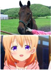 風邪がうつるといけないからキスはしないでおこうね 馬へのボケ ボケて Bokete