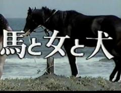 馬と鹿 の替え歌 競走馬へのボケ ボケて Bokete