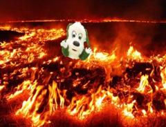 Wiiパーティーのすごろくの地獄ルートにおとされた 火炎へのボケ ボケて Bokete