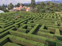 迷宮壁 ラビリンス ウォール Labyrinthへのボケ ボケて Bokete