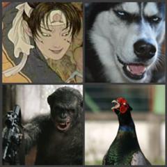 犬猿雉ごときで鬼退治は無理だって これ見ても言えるの 雉だけ戦力外 足に自前のナイフあるのを知らないの 複数枚の合成写真へのボケ ボケて Bokete