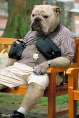 トムとジェリー実写版 犬へのボケ ボケて Bokete