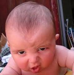 カイさんが ポテトは野菜だからヘルシーに決まってんだろ に星を1個つけました ボケて Bokete