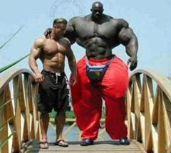 Mr アンチェイン ビスケットオリバ ボディービルへのボケ ボケて Bokete