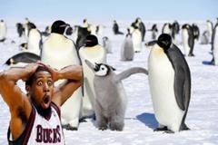 子供ペンギン 温室効果ガスの影響で地球温暖化が問題なんだ 助けて ジョニー えぇーーバスケやめなあかんやぁーん ペンギンへのボケ ボケて Bokete