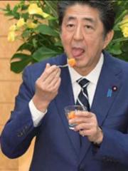 自称愛国者 野党は迎え舌も出来ないチョン 19年11月14日の人物のボケ ボケて Bokete