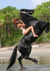 全盛期の華原朋美 競走馬へのボケ ボケて Bokete