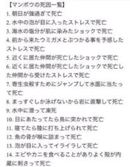 だからマンボウは漢字で書くと 万亡 諸説あり 形状へのボケ ボケて Bokete