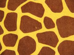 サミーなんてもう嫌いだ キリン柄へのボケ ボケて Bokete