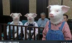 食べ物があったので 勝手に食べたらこうなっちゃいました ペットへのボケ ボケて Bokete