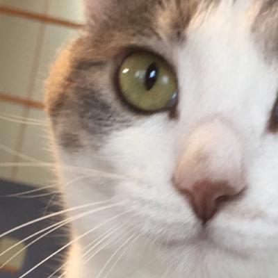 2015年06月26日夕方ごろに投稿されたアキヒトさんのお題 ボケて(bokete)