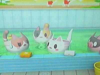 にゃーめんのお題一覧 ボケて Bokete