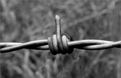 有刺鉄線の面白ネタ 写真 画像 の人気まとめ ラベル ボケて Bokete