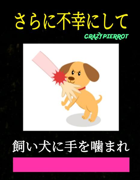 飼い犬に手を噛まれるの面白ネタ 写真 画像 の人気まとめ タグ ボケて Bokete