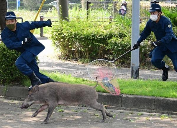 警察官のお題一覧 ボケて Bokete ページ2