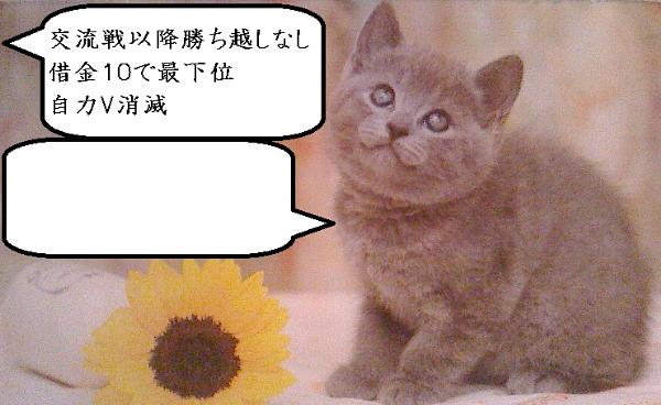 どん語 16年07月07日朝ごろに サンリオの株主さんが投稿したお題 ボケて Bokete