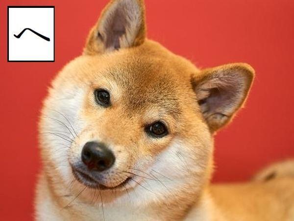 犬の面白ネタ 写真 画像 の人気まとめ タグ ボケて Bokete