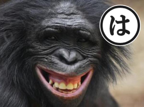 入れ歯の面白ネタ 写真 画像 の人気まとめ タグ ボケて Bokete ページ3 醜い入れ歯 吸血鬼の入れ歯 面白い歯のギャグ ハロウィーンの装飾小道具4pcsカラー写真のようにshizhi Boutique Wilsonvillecoc Com