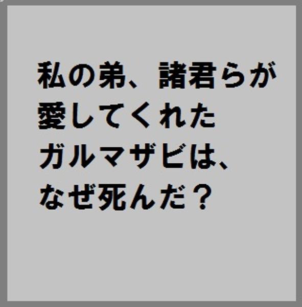 人工vr