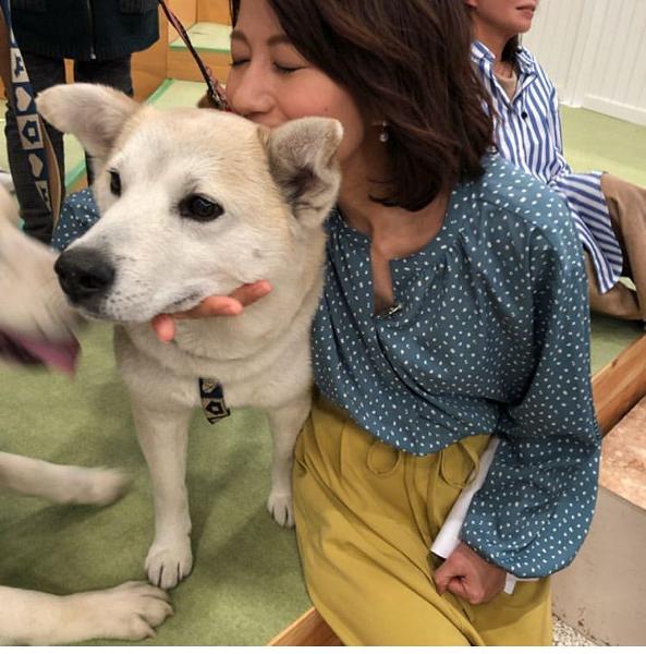 犬の面白ネタ 写真 画像 の人気まとめ タグ ボケて Bokete ページ8