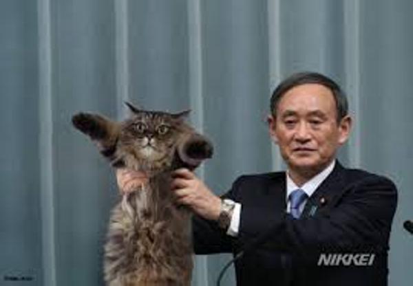 菅官房長官の面白ネタ 写真 画像 の人気まとめ タグ ボケて Bokete ページ13