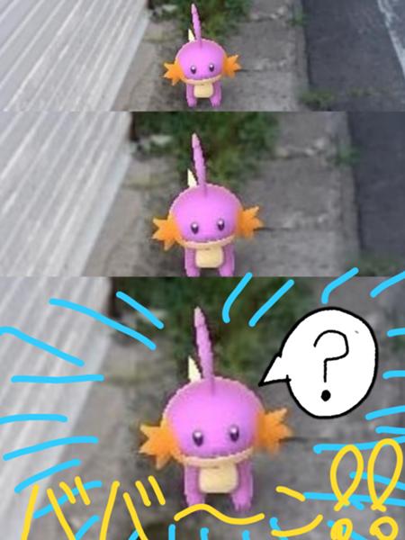 ミズゴロウのお題一覧 ボケて Bokete