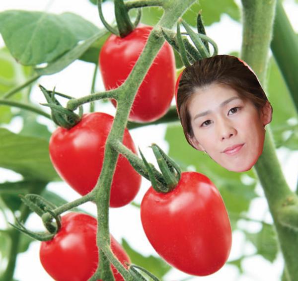 ブッシュトマトの面白ネタ 写真 画像 の人気まとめ ラベル ボケて Bokete ページ3