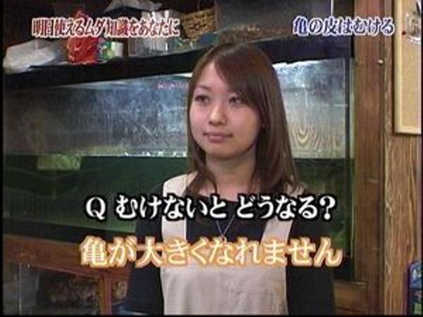 ジョン ホームズ Mesicsさんが 大きくなるときだけ剥ける亀もいるんだぜ に星を3個つけました ボケて Bokete