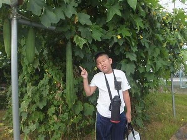 ブドウ属の面白ネタ 写真 画像 の人気まとめ ラベル ボケて Bokete ページ8