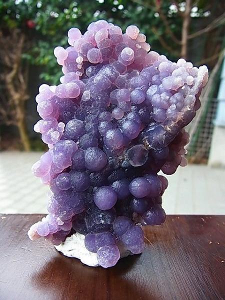 ブドウ属の面白ネタ 写真 画像 の人気まとめ ラベル ボケて Bokete ページ3