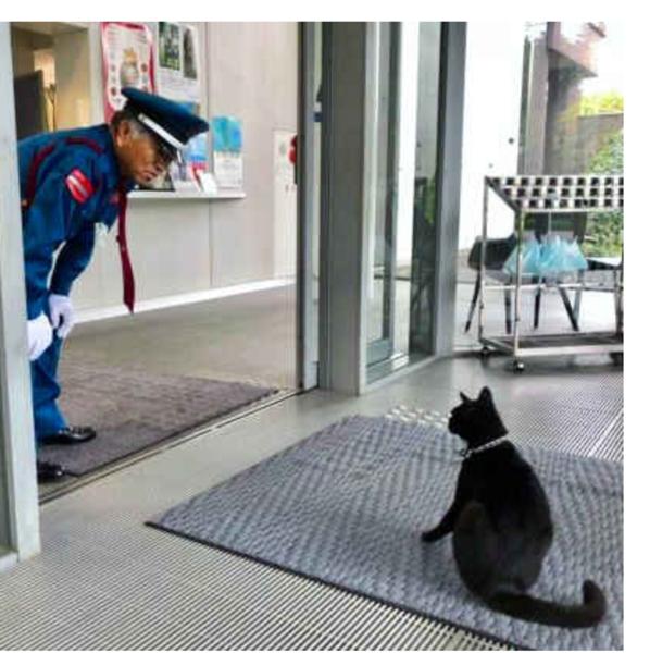 年06月01日夜ごろに投稿されたゆうたろさんのお題 ボケて Bokete